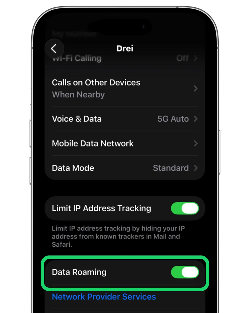 Fehler „eSIM-Code ungültig“ auf iPhone beheben