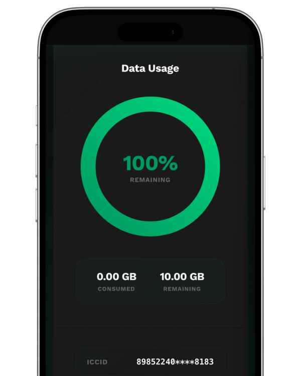 Daten-Roaming aktivieren