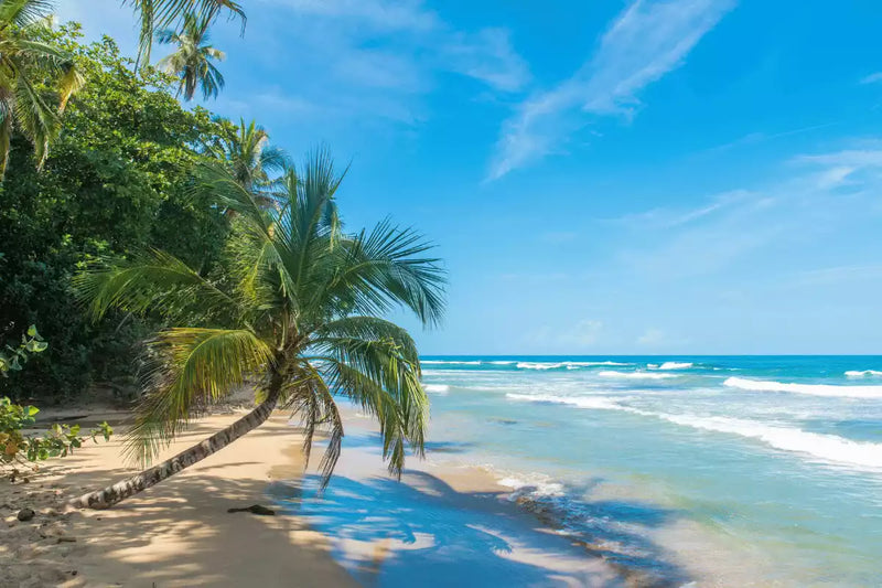 El Salvador