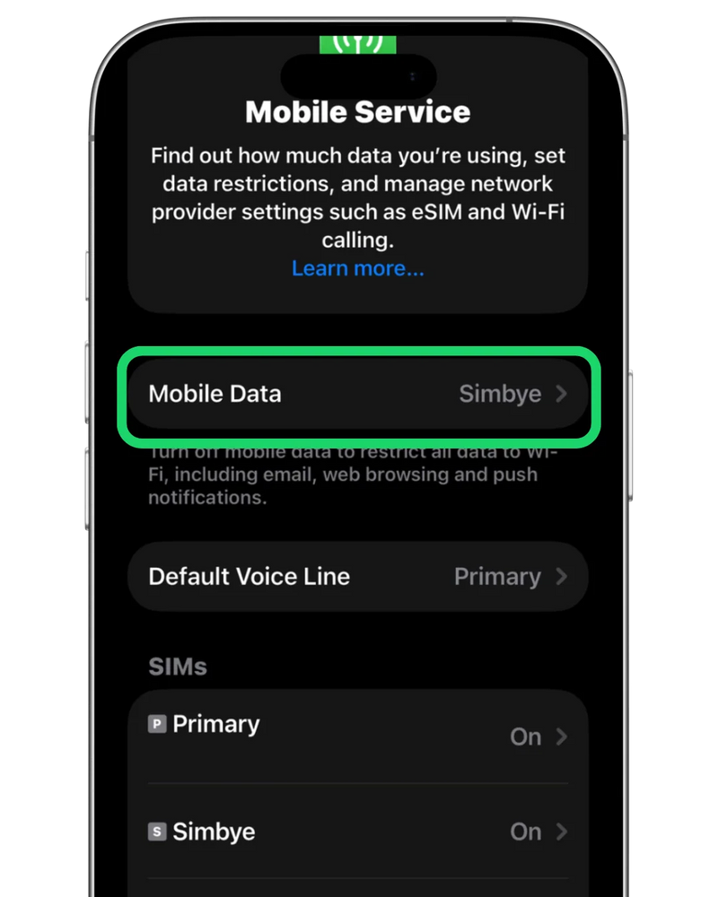 ما هو APN؟ دليل أساسي لمستخدمي eSIM