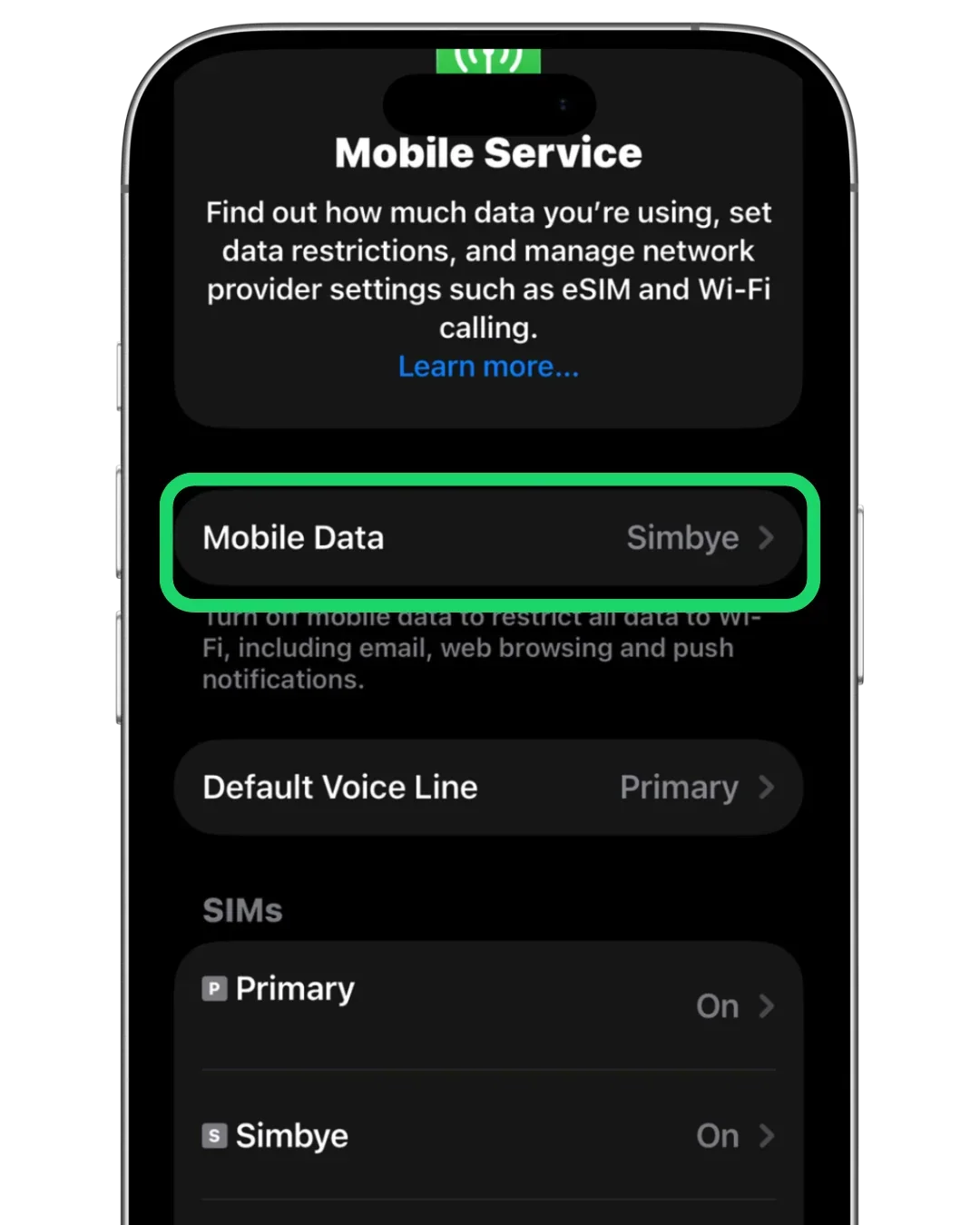 What is an APN (Access Point Name)? – Essential Guide for eSIM Users