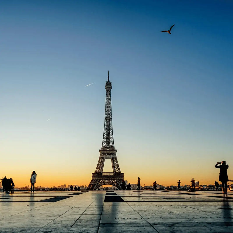 France eSIM with Calls & Phone Number
